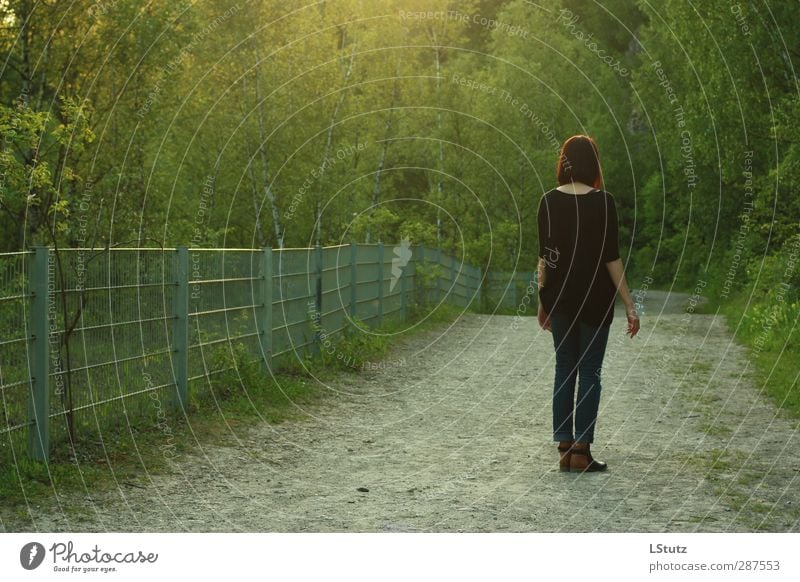 green ambience harmonisch Wohlgefühl Junge Frau Jugendliche Erwachsene 1 Mensch 18-30 Jahre Umwelt Natur Sommer Baum Sträucher Park Wald Wege & Pfade Jeanshose