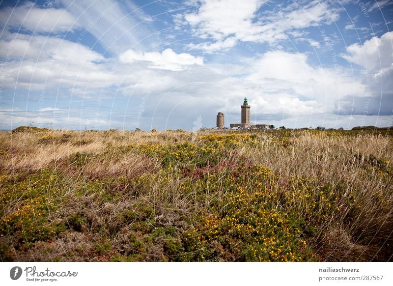 Cap Fréhel Umwelt Natur Landschaft Pflanze Himmel Sommer Schönes Wetter Blume Gras Feld Seeufer Bucht Turm Leuchtturm Architektur Lichtturm Duft Ferne