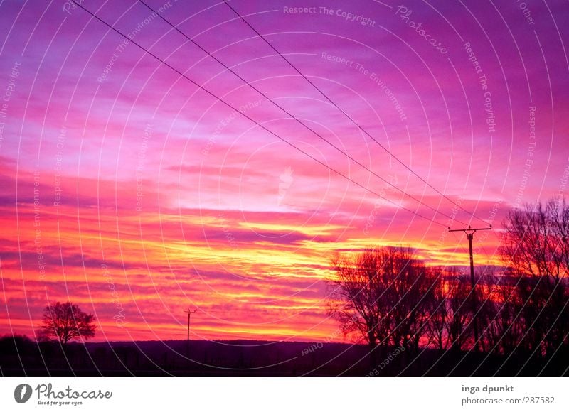 Roter Strom Energiewirtschaft Strommast Umwelt Natur Landschaft Pflanze Winter Baum Sträucher Feld Endzeitstimmung Abenddämmerung Licht Morgendämmerung