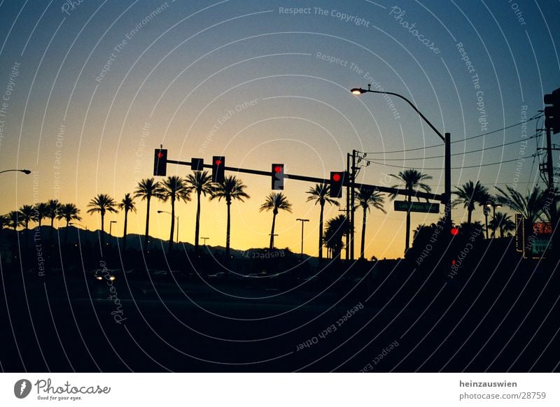 Las Vegas Boulevard Ampel Sonnenuntergang Straße Himmel Wolkenloser Himmel Schönes Wetter Klarer Himmel Silhouette Palme Allee Baumreihe Hintergrund neutral