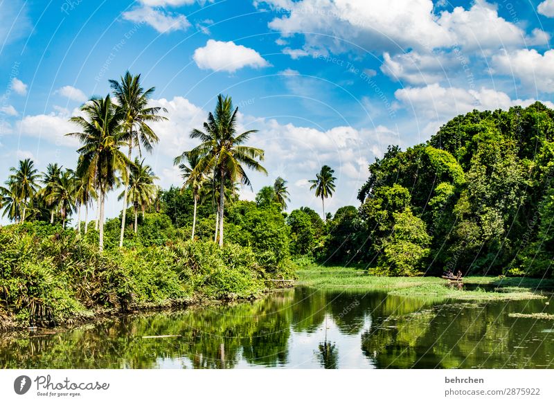 idylle Ferien & Urlaub & Reisen Tourismus Ausflug Abenteuer Ferne Freiheit Umwelt Natur Landschaft Himmel Wolken Pflanze Baum Sträucher Blatt Urwald Flussufer