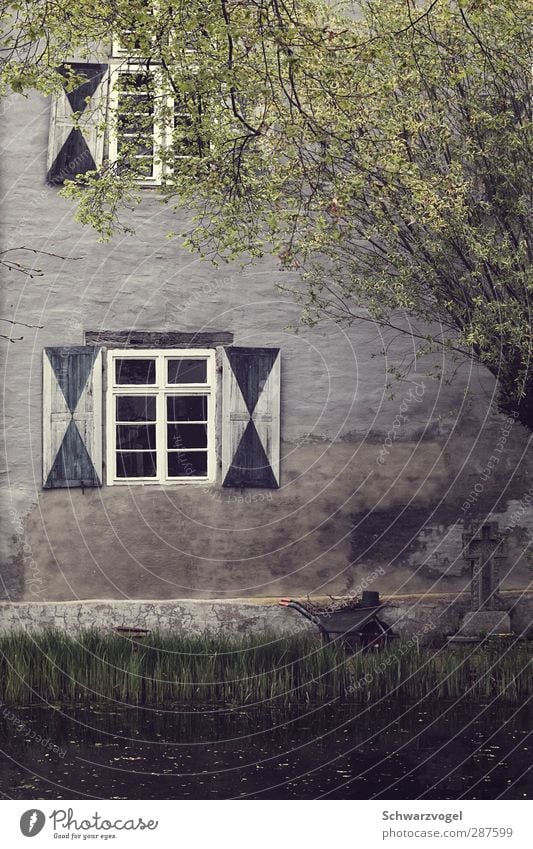 Provinzstille Baum Garten Kleinstadt Menschenleer Burg oder Schloss Bauwerk Gebäude Mauer Wand Fenster alt Zufriedenheit nachhaltig stagnierend Gartenarbeit