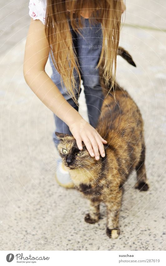 das hat hand und pfötchen ... feminin Kind Mädchen Kopf Haare & Frisuren Arme Hand Finger Beine 1 Mensch 3-8 Jahre Kindheit Tier Haustier Katze Pfote