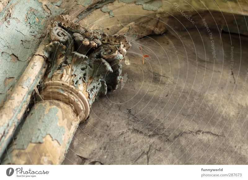 Vergangen Ruine Mauer Wand Fassade Säulenkapitell Stein Ornament alt ästhetisch gruselig historisch kaputt blau grau ruhig Traurigkeit Sorge Trauer Tod