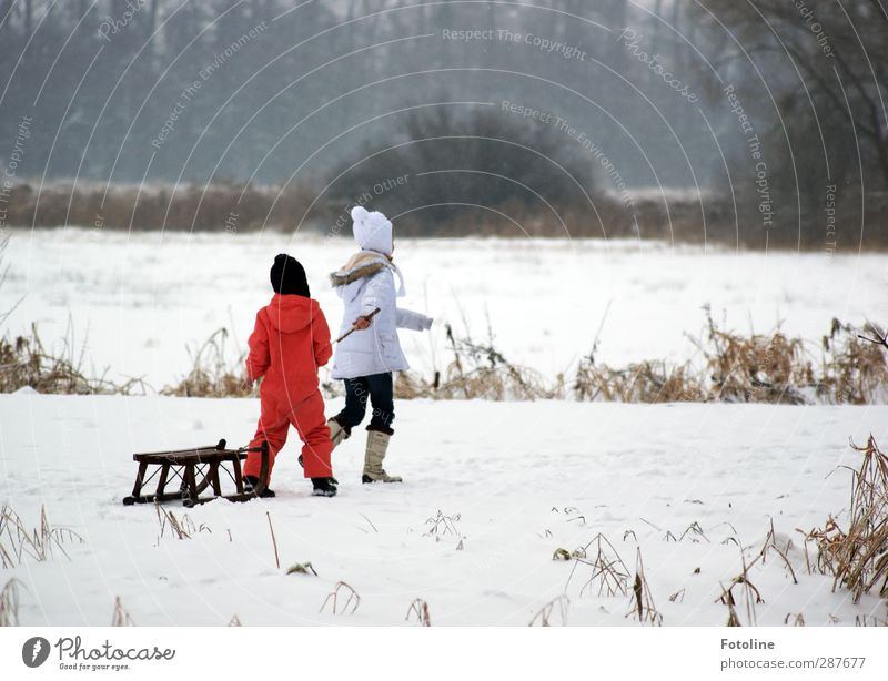 Wintervergnügen für Helgi! Mensch feminin Kind Mädchen Schwester Kindheit Umwelt Natur Landschaft Pflanze Schnee Baum Sträucher Park hell kalt natürlich rot