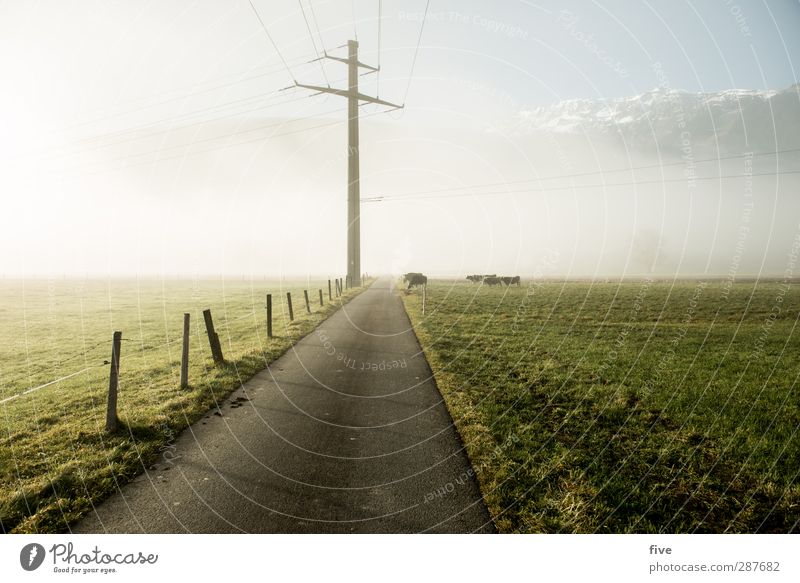 Weiterleitung Umwelt Natur Landschaft Erde Himmel Wolken Sonne Sonnenaufgang Sonnenuntergang Sonnenlicht Herbst Wiese Feld Berge u. Gebirge Gipfel kalt