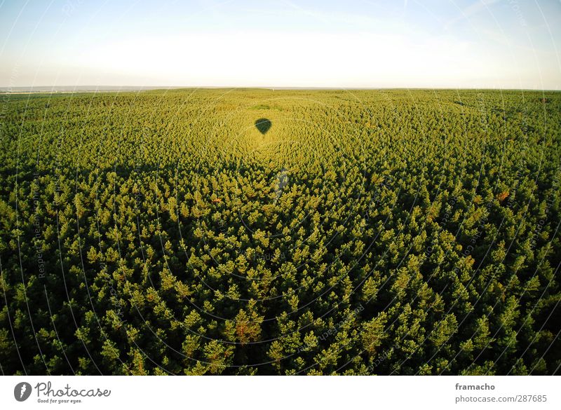 Balloon 3 Freude harmonisch Freizeit & Hobby fliegen Ballonfahrt Tourismus Ausflug Abenteuer Ferne Freiheit Sommer Sonne Luftverkehr Umwelt Natur Landschaft