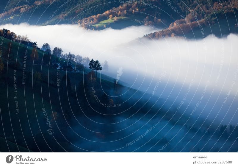 wo die Wolken fließen Umwelt Natur Landschaft Luft Wasser Himmel Herbst Klima Wetter Nebel Pflanze Baum Wald Hügel Berge u. Gebirge Schlucht Bewegung dunkel