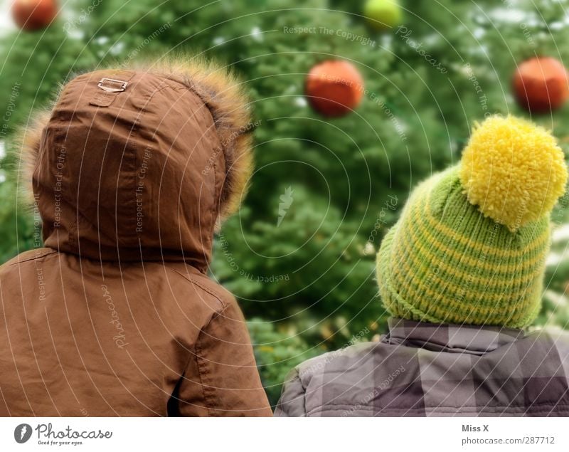 Zwei Weihnachtswichtel Feste & Feiern Weihnachten & Advent Mensch Kind Kleinkind Geschwister Kindheit 2 1-3 Jahre 3-8 Jahre Winter Baum Mütze glänzend Gefühle