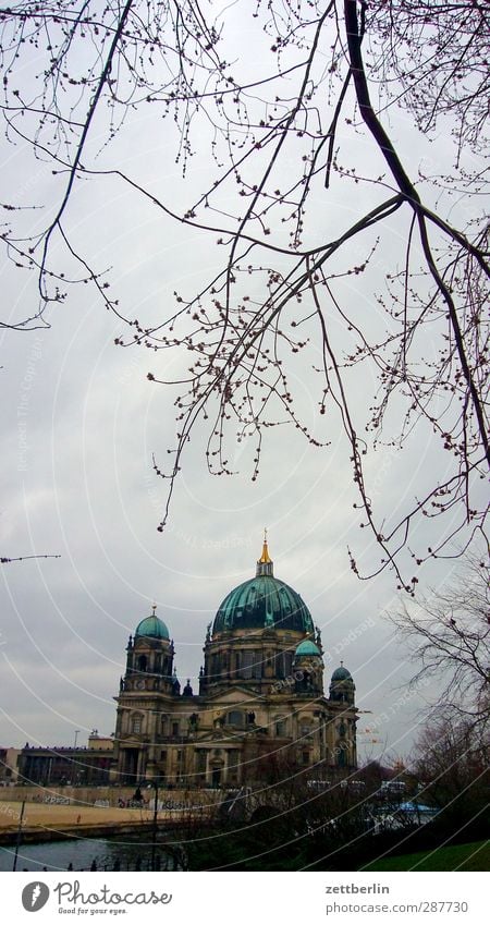 Berliner Dom Umwelt Himmel Herbst Winter Klima Klimawandel Wetter schlechtes Wetter Baum Stadt Hauptstadt Haus Kirche Bauwerk Gebäude Architektur