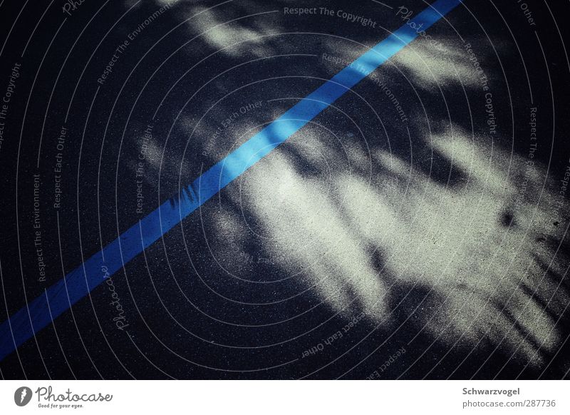 ... Sonnenlicht Straße blau grau schwarz Linie draw the line Beleuchtung Muster Farbfoto Außenaufnahme abstrakt Strukturen & Formen Licht Schatten Kontrast