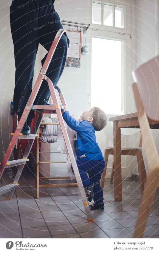 Warte, Papa. Ich helf Dir! Umzug (Wohnungswechsel) einrichten Stuhl Küche Leiter Mensch Kleinkind Mann Erwachsene Familie & Verwandtschaft 2 1-3 Jahre