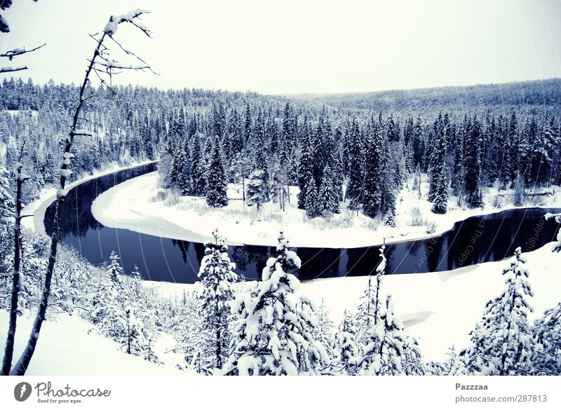 Weihnachtsmanns Heimat ruhig Abenteuer Ferne Freiheit Winter Schnee Winterurlaub wandern Landschaft Pflanze Wald Fluss Menschenleer kalt schwarz weiß