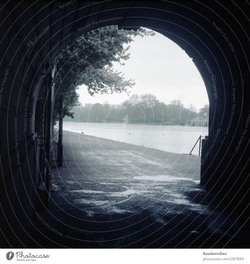 Balge trocknen. Umwelt Natur Winter schlechtes Wetter Unwetter Regen Baum Park See Hauptstadt Stadtzentrum Tunnel Tor bedrohlich hell nass trist blau Farbfoto