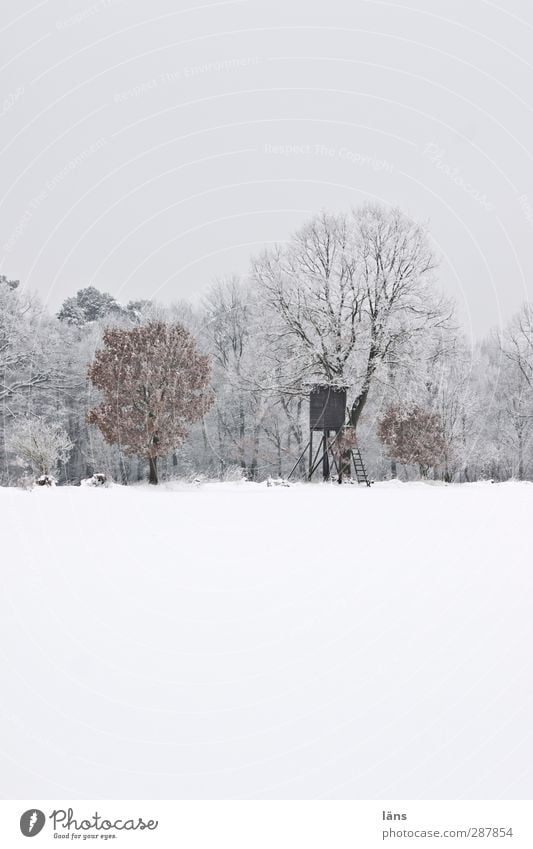 Halali Jagd Winter Schnee Umwelt Natur Landschaft Wetter Eis Frost Baum Wald Erwartung kalt Vergänglichkeit Wandel & Veränderung Waldrand Hochsitz beobachten