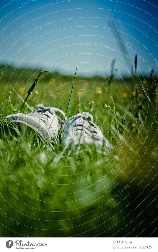 Summer where are you Natur Landschaft Pflanze Himmel Wolkenloser Himmel Wiese Schuhe Stimmung Freude Freiheit Freizeit & Hobby barfuss Farbfoto Menschenleer