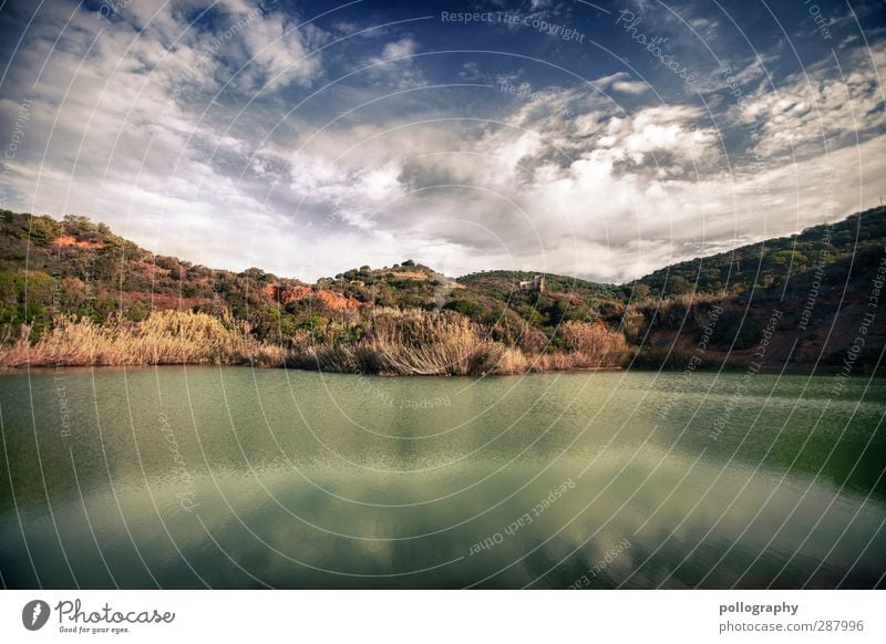 nirgendwo Umwelt Natur Landschaft Pflanze Erde Luft Wasser Himmel Wolken Horizont Sommer Klima Schönes Wetter Wärme Dürre Gras Sträucher Wildpflanze Hügel