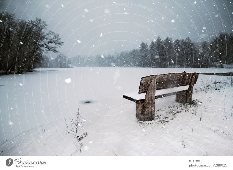 Schneetreiben Winterurlaub Natur Landschaft Klima Wetter schlechtes Wetter Wind Eis Frost Schneefall Wald Seeufer Bank frieren kalt natürlich ruhig Einsamkeit