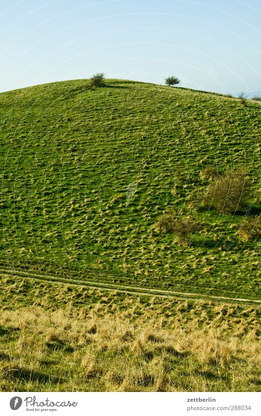 Mönchgut Umwelt Natur Landschaft Pflanze Himmel Wolkenloser Himmel Sommer Herbst Klima Klimawandel Wetter Schönes Wetter Grünpflanze Park Wiese Feld Hügel