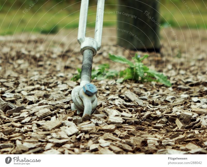 Halt dich an mir fest Ausflug Abenteuer Ferne wandern Pflanze Baum Blume Gras Sträucher Moos Stein Sand Holz festhalten stark Kraft Willensstärke Macht Mut