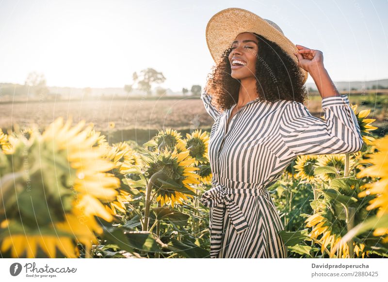 Glückliche junge schwarze Frau auf einem Sonnenblumenfeld Feld urwüchsig lockig Afrikanisch gemischtrassig niedlich Jugendliche Lächeln Hintergrundbild Hut