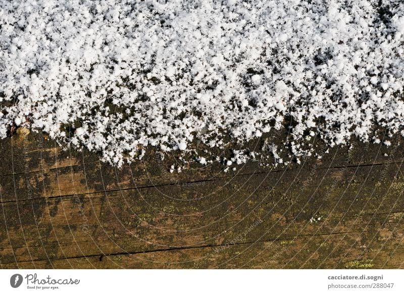 snow line Umwelt Winter Schnee dunkel einfach kalt nass natürlich trist braun weiß trösten ruhig sparsam Traurigkeit Trauer Einsamkeit Endzeitstimmung Klima