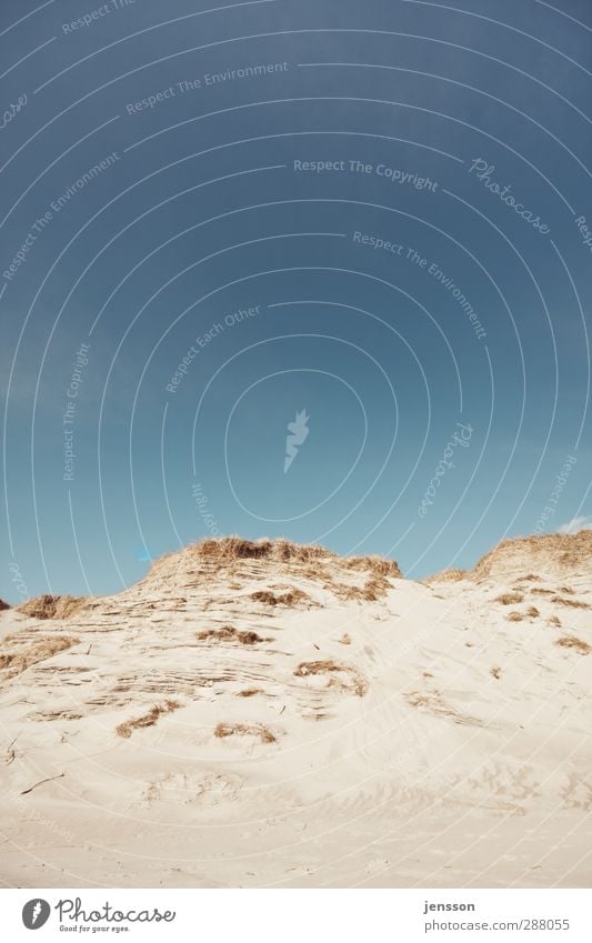 Hinterm Horizont Ferien & Urlaub & Reisen Umwelt Natur Landschaft Sand Himmel Sommer Schönes Wetter Hügel Küste Strand Nordsee hell schön Wärme blau Dänemark