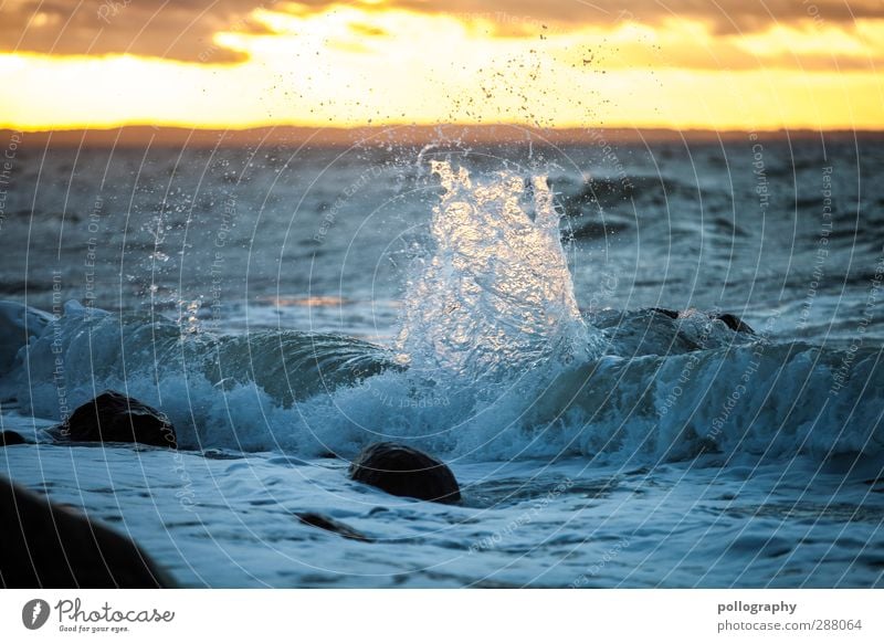 splash (2) Ausflug Abenteuer Freiheit Sommerurlaub Meer Wellen Umwelt Natur Landschaft Wasser Himmel Wolken Horizont Schönes Wetter Wind Küste Ostsee Stein