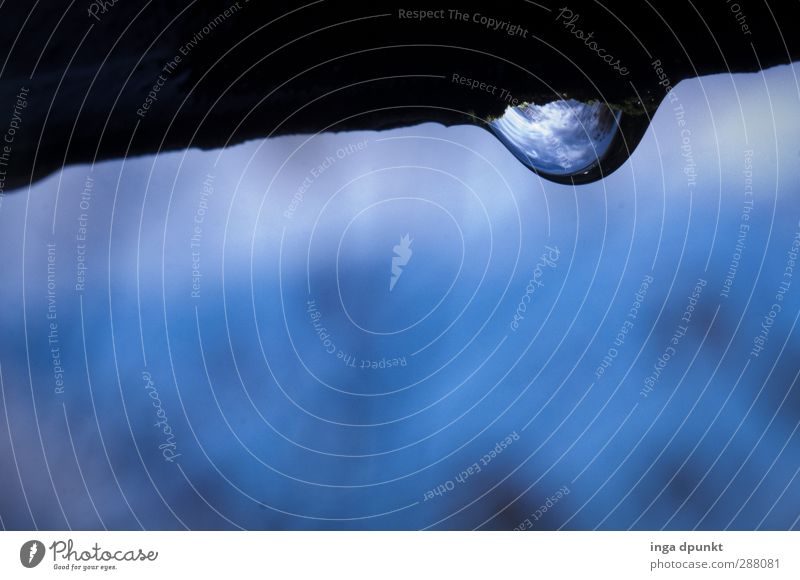 Steter Tropfen Umwelt Natur Urelemente Wasser Wassertropfen Klima schlechtes Wetter Regen authentisch kalt Umweltschutz Reflexion & Spiegelung nass blau