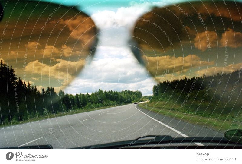 Nordische Sichtweise Umwelt Natur Landschaft Himmel Wolken Wetter Schönes Wetter Baum Gras Wald Verkehr Verkehrsmittel Verkehrswege Personenverkehr Autofahren