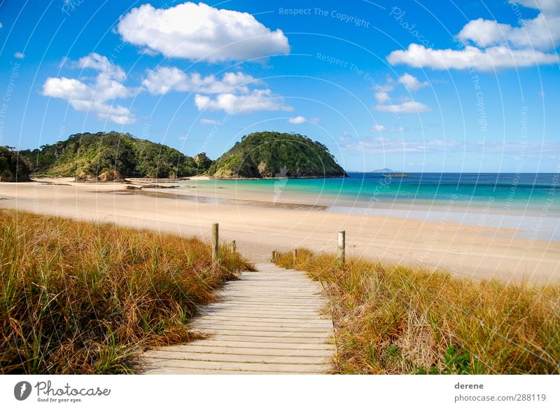 Matapouri Bay Erholung Abenteuer Freiheit Sommer Sommerurlaub Sonne Sonnenbad Strand Meer Insel Wasser Himmel Wolken Schönes Wetter Süd Pazifik Neuseeland