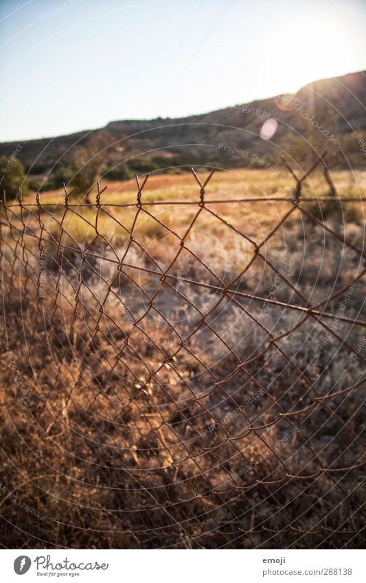 Sommer Umwelt Natur Landschaft Schönes Wetter Wärme Wiese Feld natürlich Zaun Maschendrahtzaun Farbfoto Außenaufnahme Detailaufnahme Menschenleer Tag