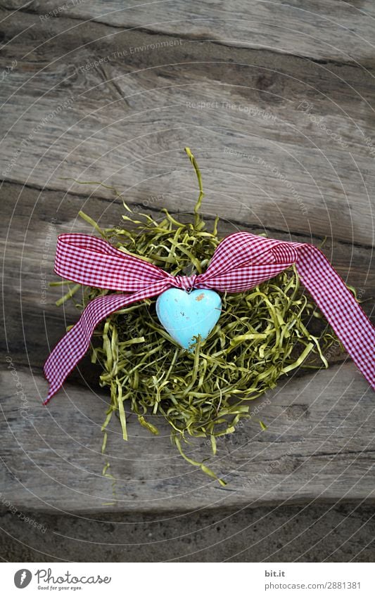 Blaues Herz mit Schleife, im Osternest auf Holzhintergrund. Feste & Feiern Valentinstag Muttertag Natur Gras Moos Dekoration & Verzierung Kitsch Krimskrams