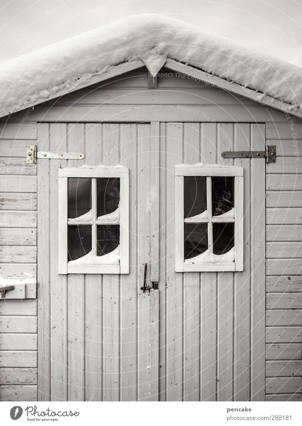 still waiting Schnee Haus Hütte Fassade Holz Vorfreude Gelassenheit geduldig ruhig standhaft Idylle Schutz warten Holzhütte Fenster Fensterkreuz Tor Tür