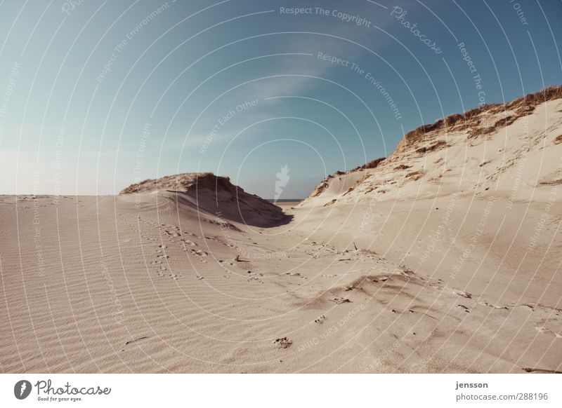 Spuren im Sand Ferien & Urlaub & Reisen Freiheit Sommer Sommerurlaub Strand Umwelt Natur Landschaft Himmel Wolken Klima Wetter Schönes Wetter Küste Nordsee