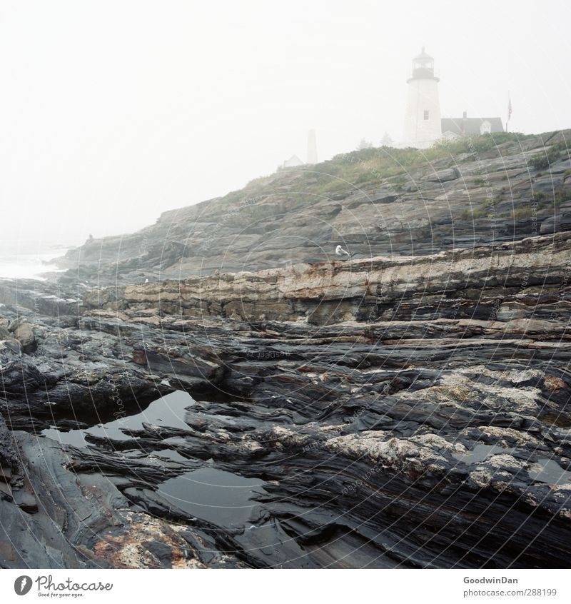 New England Umwelt Natur Landschaft Urelemente Erde Wasser Herbst Wetter Unwetter Felsen Küste Meer alt authentisch eckig gigantisch groß Unendlichkeit kalt