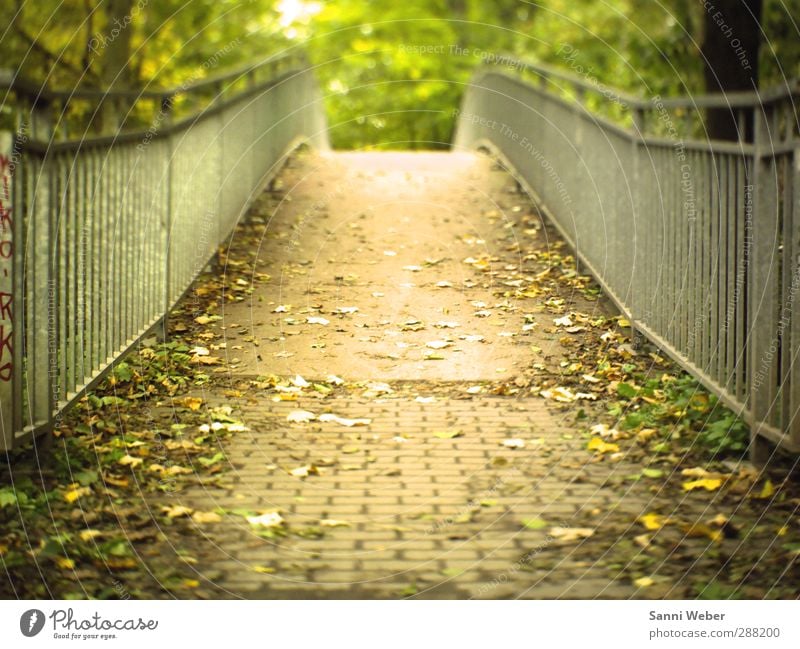 Brückentag Tourismus Abenteuer Natur Landschaft Herbst Blatt Garten Park Leipzig Deutschland Europäer Stadt Menschenleer Wahrzeichen atmen Denken entdecken frei