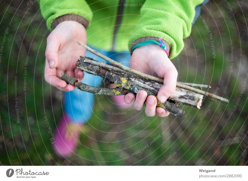 Zeltlager Kindergarten Kleinkind Mädchen 1 Mensch 3-8 Jahre Kindheit Holz Fröhlichkeit frisch Ferienfreizeit Stock Ast Sammlung Feuerstelle Farbfoto