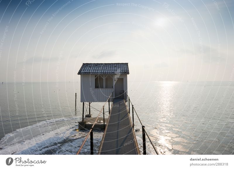 Haus im See Natur Himmel Wolkenloser Himmel Küste Seeufer hell Bodensee Immobilienmarkt Hütte Gedeckte Farben Menschenleer Textfreiraum links