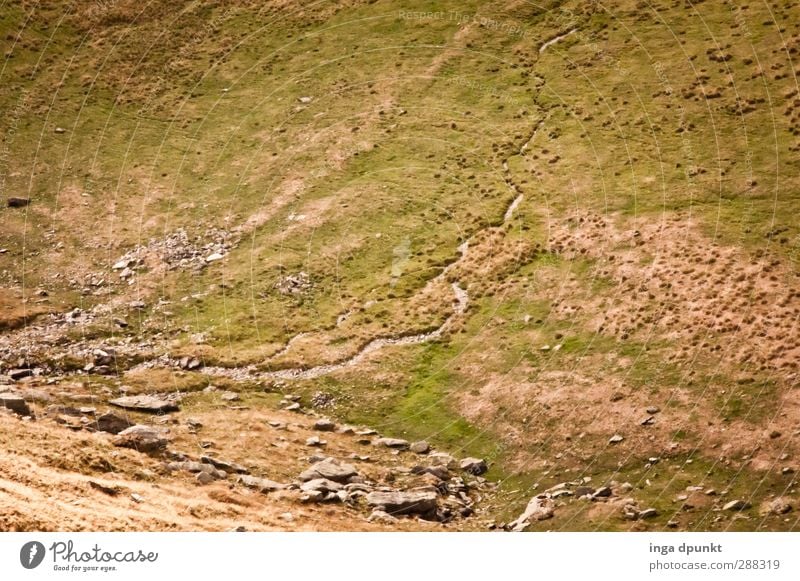 Tal abwärts Umwelt Natur Landschaft Pflanze Gras Berge u. Gebirge Schlucht Bach Rumänien Karpaten Ferien & Urlaub & Reisen Wege & Pfade Wildbach kalt Farbfoto