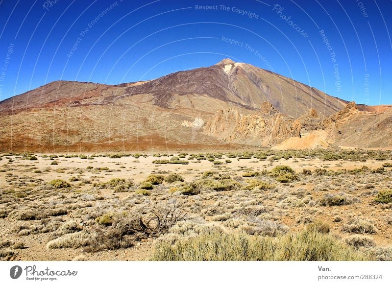 Teide III Ferien & Urlaub & Reisen wandern Natur Landschaft Erde Wolkenloser Himmel Pflanze Sträucher Felsen Berge u. Gebirge Gipfel Vulkan Teneriffa hoch blau