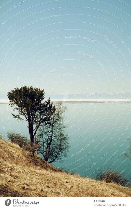 Gedankenreise Natur Landschaft Wasser Himmel Wolkenloser Himmel Horizont Frühling Schönes Wetter Schnee Wiese Hügel Berge u. Gebirge Küste Seeufer Baikalsee