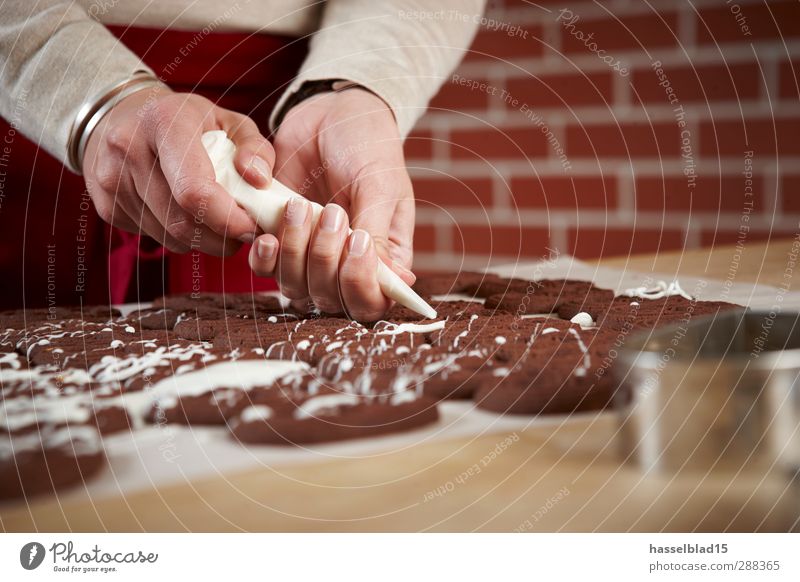 Weihnachtsbäckerei Plätzchen Lebensmittel Teigwaren Backwaren Süßwaren Ernährung Bioprodukte Vegetarische Ernährung Lifestyle Reichtum Freizeit & Hobby