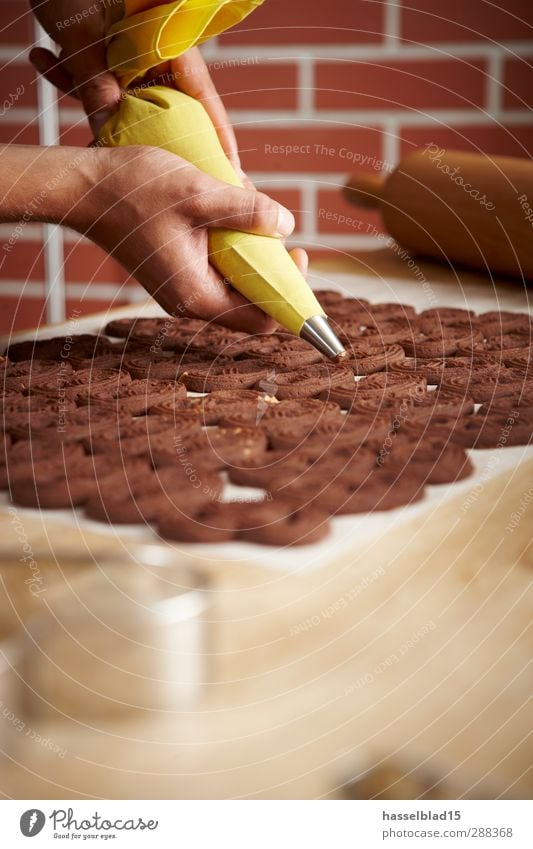 Weihnachtsbäckerei Plätzchen 3 Lebensmittel Getreide Teigwaren Backwaren Kuchen Dessert Süßwaren Ernährung Bioprodukte Vegetarische Ernährung Berufsausbildung