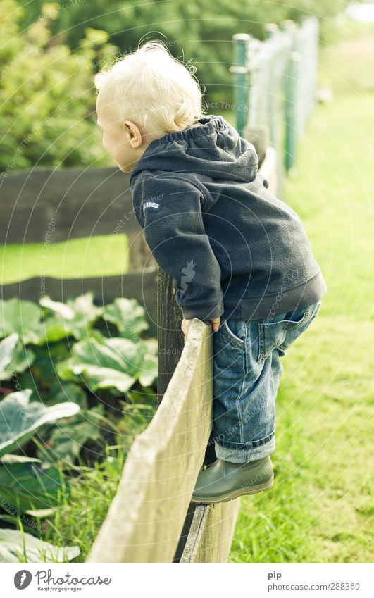 grenzen ausloten Kind Junge Kindheit Haare & Frisuren 1 Mensch 1-3 Jahre Kleinkind Natur Landschaft Frühling Schönes Wetter Garten Wiese Pullover Gummistiefel