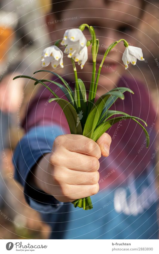 Frühlingsgruß Kind Arme Hand 1 Mensch Blume Blüte Garten Park Wald gebrauchen festhalten Blick stehen Fröhlichkeit frisch Freude Zufriedenheit Lebensfreude