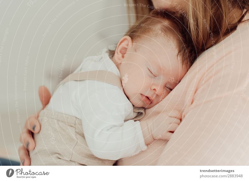 Junge Mutter mit neugeborenem Baby Essen Glück schön Kind Frau Erwachsene Eltern Familie & Verwandtschaft Kindheit Arme füttern Liebe klein weiß Schutz stillen