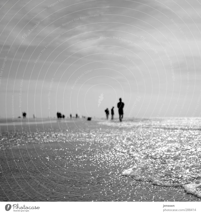 it’s in the water Wohlgefühl Erholung Ferien & Urlaub & Reisen Ausflug Freiheit Strand Meer Wellen Mensch Menschengruppe Schönes Wetter Nordsee genießen