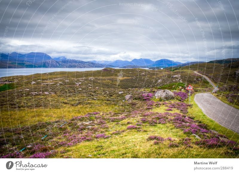 Schottland Ferien & Urlaub & Reisen Ausflug Ferne Freiheit Natur Landschaft Wolken Klima Gras Sträucher Moos Heide Bucht Fjord Großbritannien Europa Straße