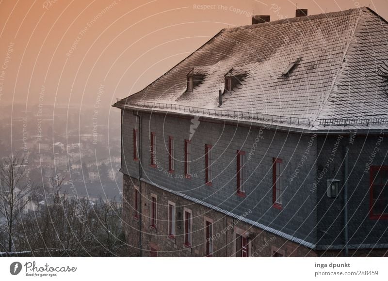 Neuschnee Umwelt Winter Eis Frost Schnee Hügel Marburg Hessen Bundesadler kalt Farbfoto Außenaufnahme Menschenleer Morgendämmerung Dämmerung Schatten